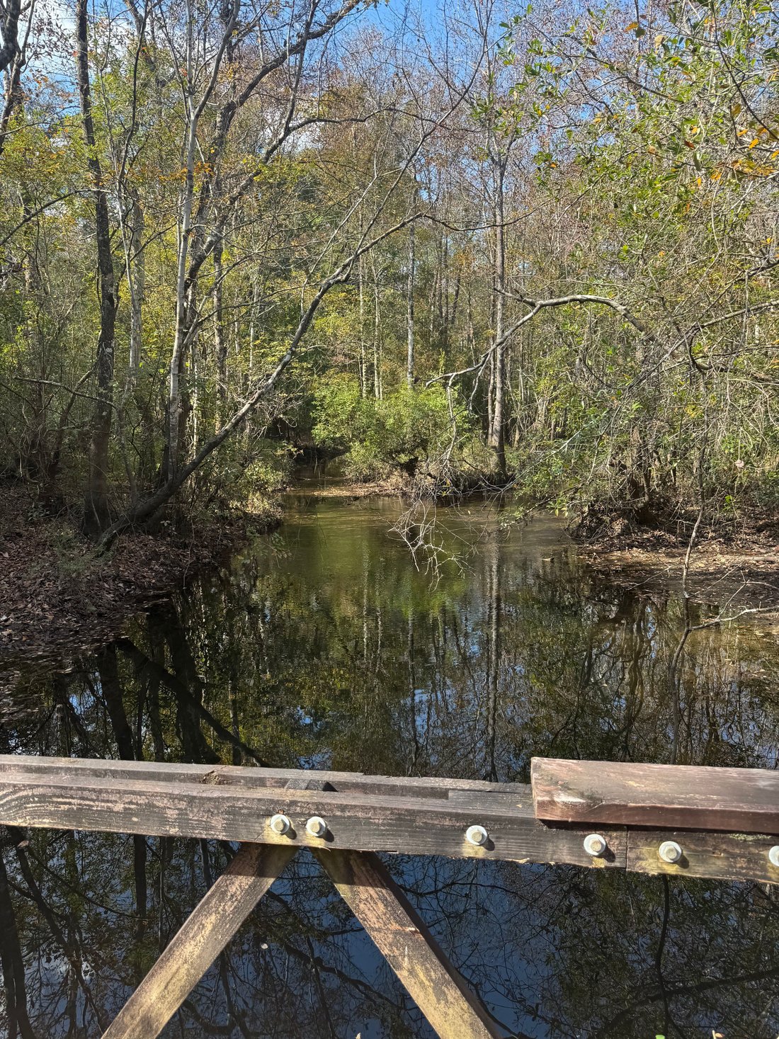 Land in Cantonment, Florida, United States 5 - 17495187