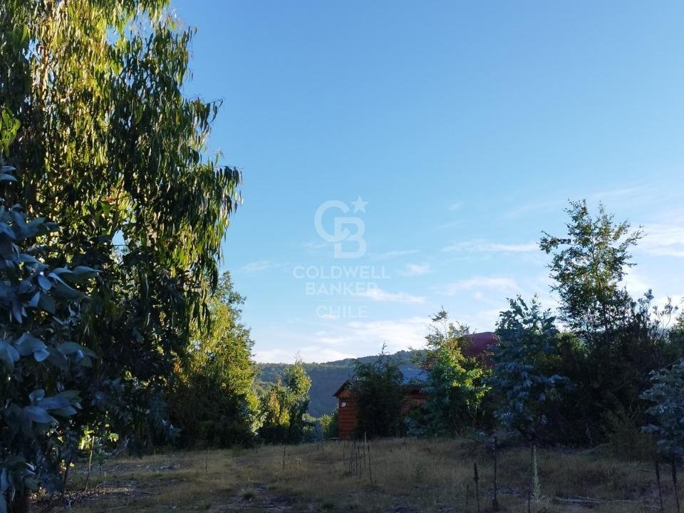 Estate in Angol, Araucania, Chile 5 - 17495042