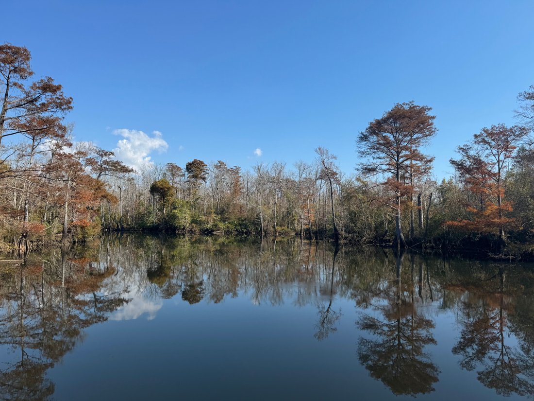 Land in Cantonment, Florida, United States 1 - 17495187