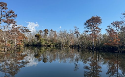 Land in Cantonment, Florida, Vereinigte Staaten 1