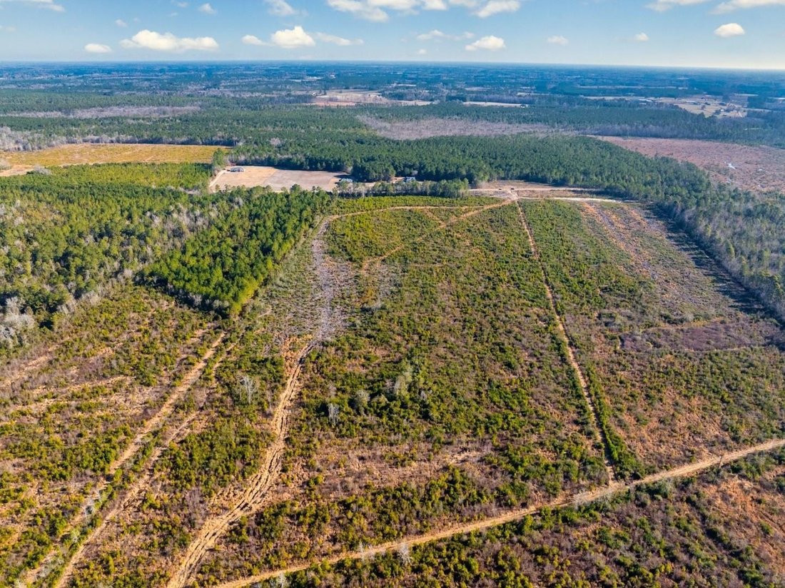 Land in Nichols, South Carolina, United States 4 - 17495443