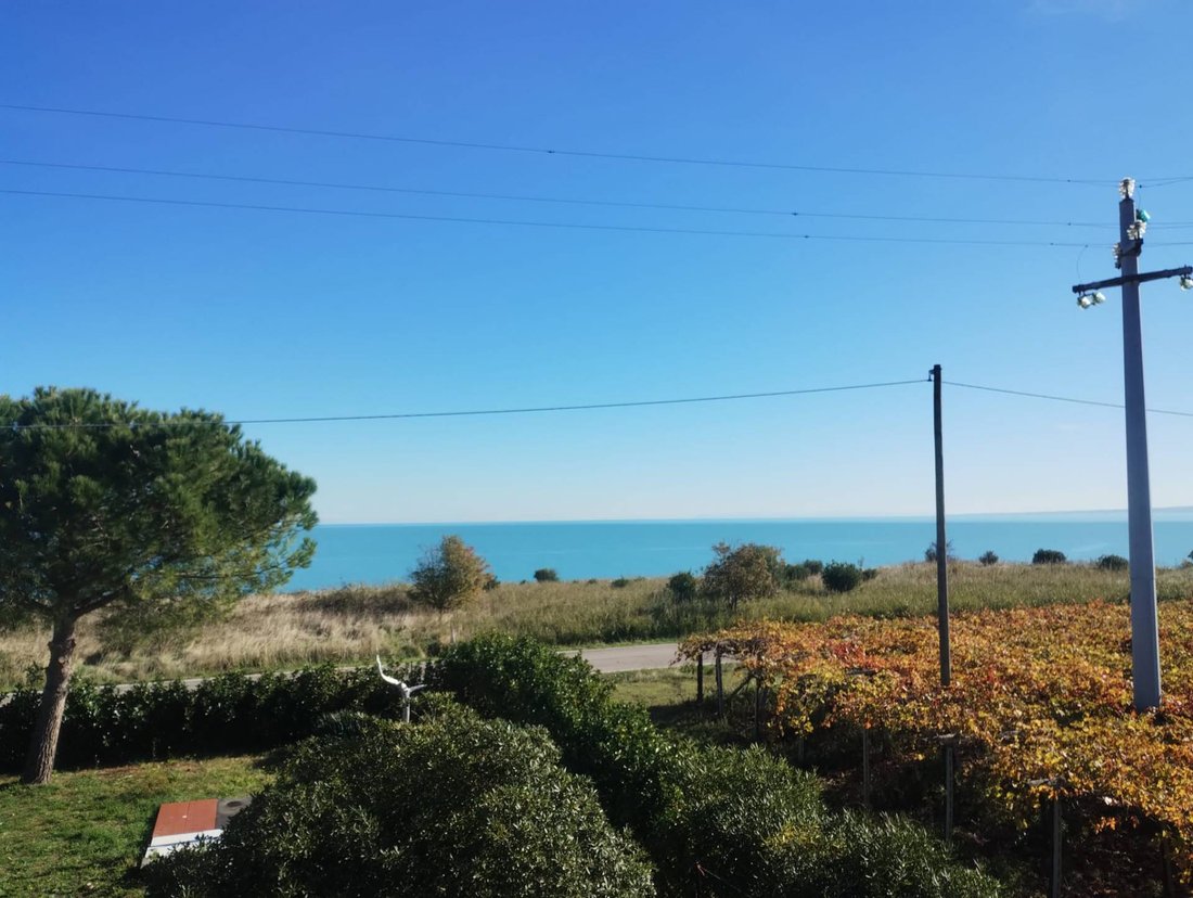 Villa in Incoronata - San Lorenzo - Pagliarelli, Vasto, Abruzzo 5 - 15358838