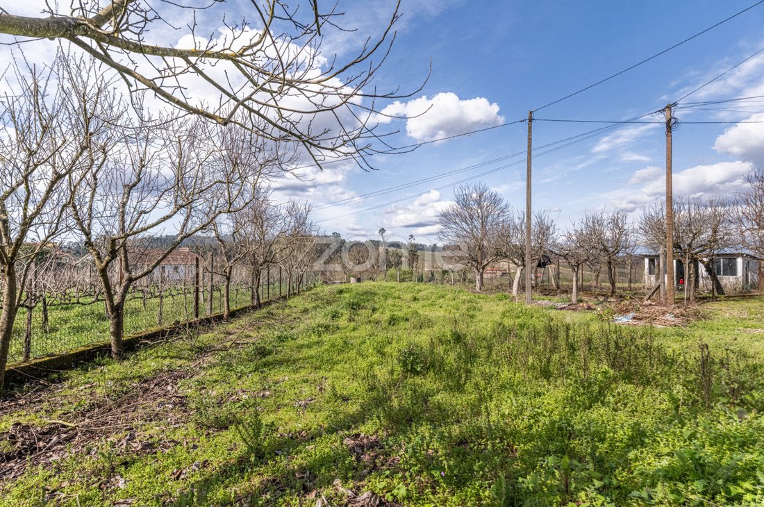 Finca à Meinedo, District de Porto, Portugal 1 - 17498158