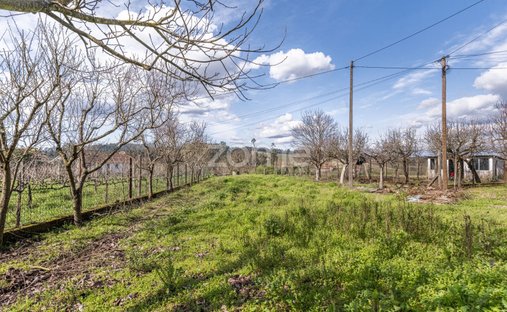 Finca in Meinedo, Porto District, Portugal 1