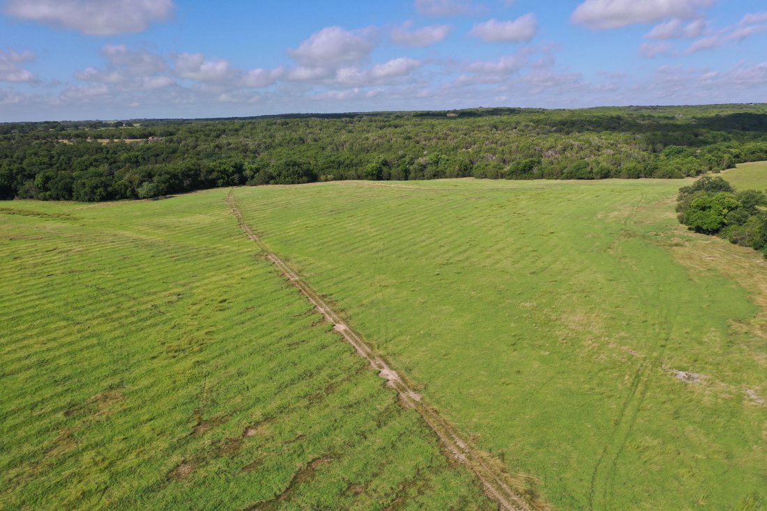 Farm Ranch in Evant, Texas, United States 2 - 17495131