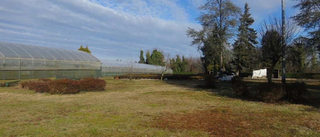 Villa in Varallo Pombia, Piedmont, Italy 4 - 15359235