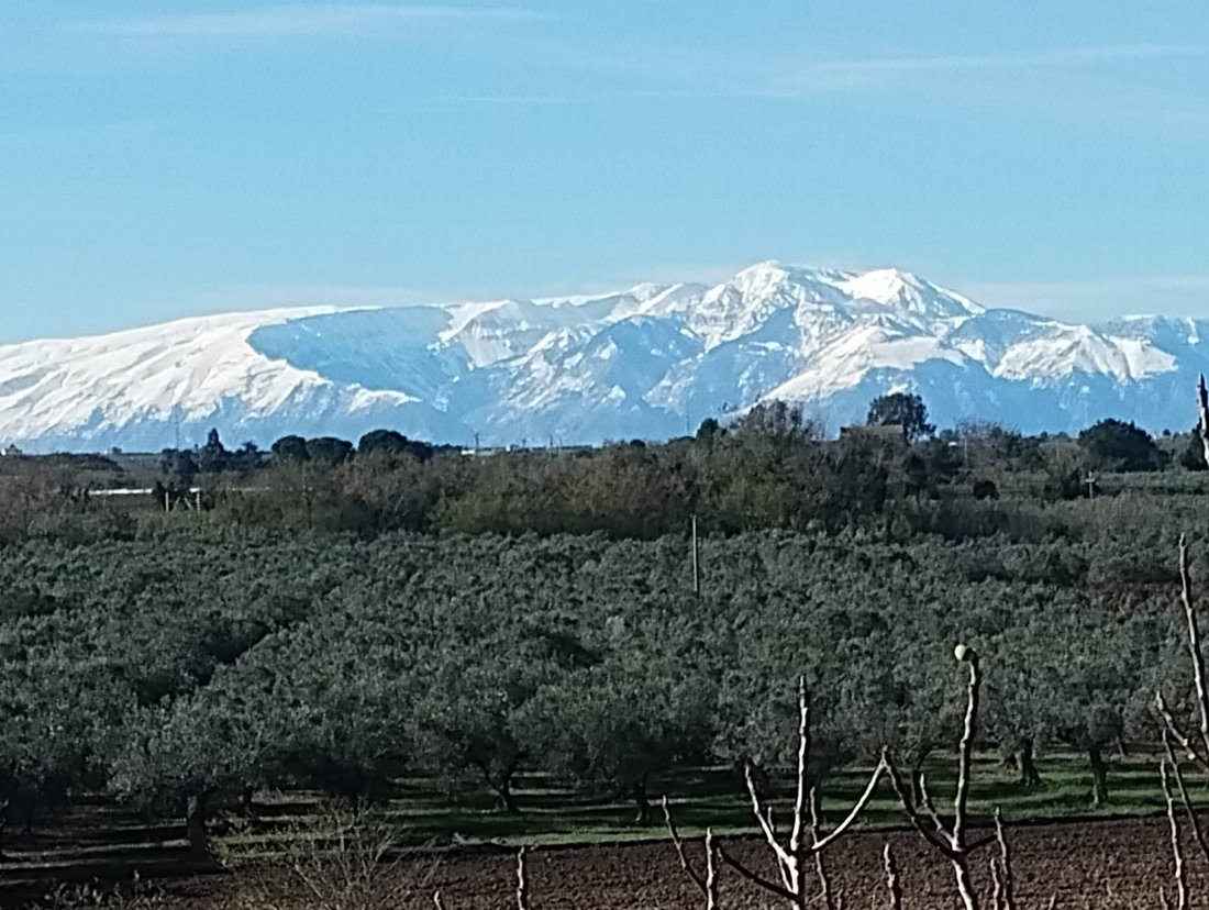 Villa in Incoronata - San Lorenzo - Pagliarelli, Vasto, Abruzzo 4 - 15358838