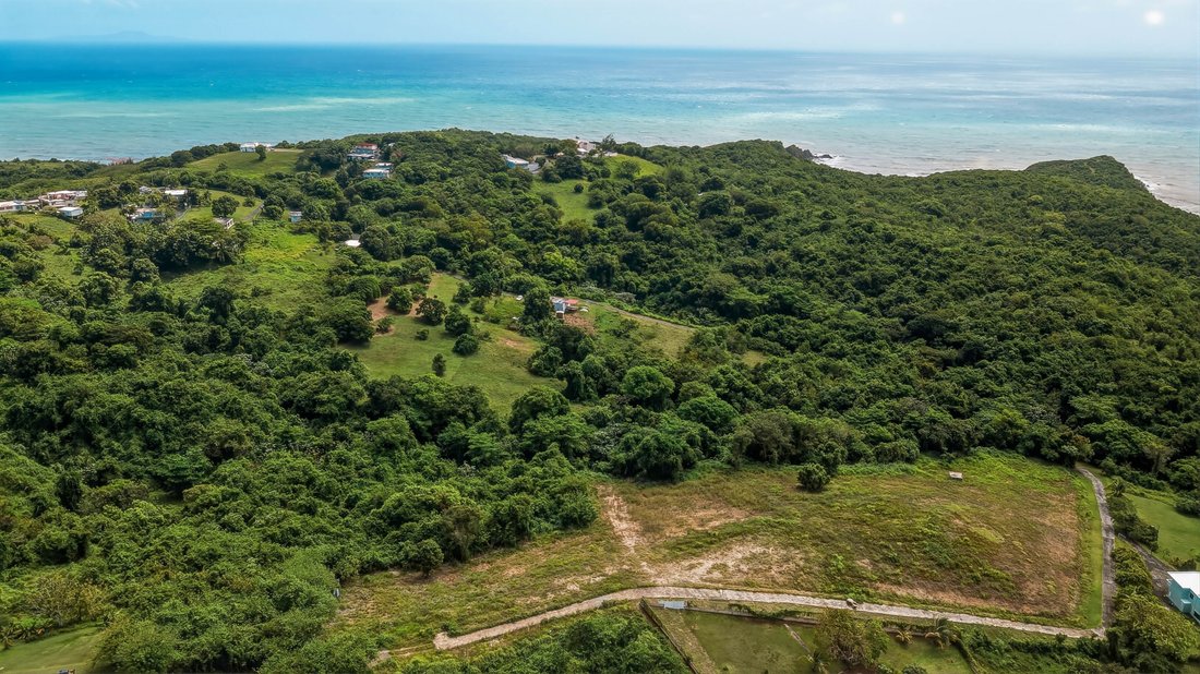 Land in Yabucoa, Yabucoa, Puerto Rico 1 - 17497293