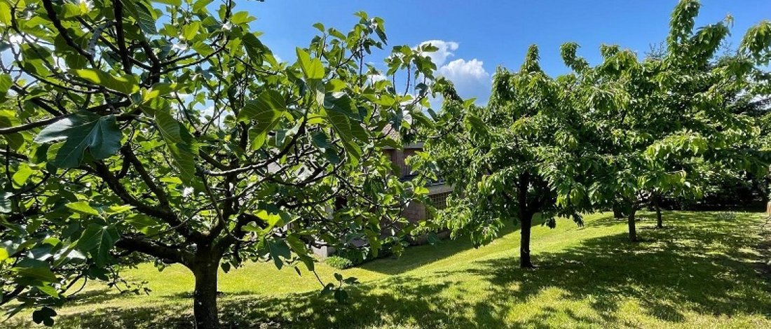 Villa in Luino, Lombardy, Italy 2 - 15940805