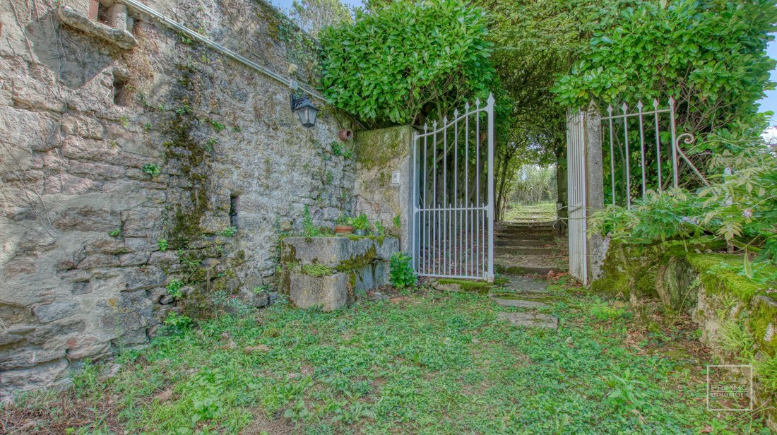 House in Centre et Sud Est, Saint-Didier-au-Mont-d'Or, France 5 - 17496811