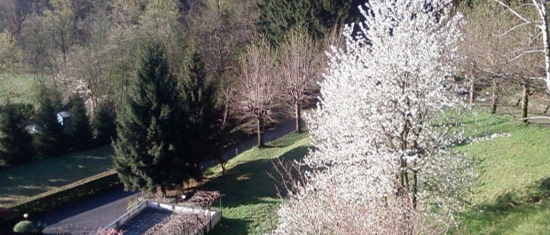 Villa in Luino, Lombardy, Italy 3 - 15359293