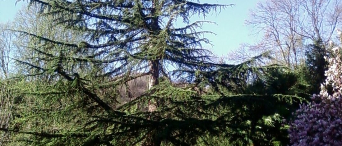 Villa in Luino, Lombardy, Italy 5 - 15359293