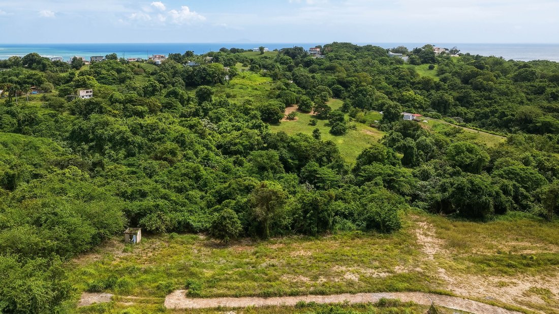 Land in Yabucoa, Yabucoa, Puerto Rico 2 - 17497293