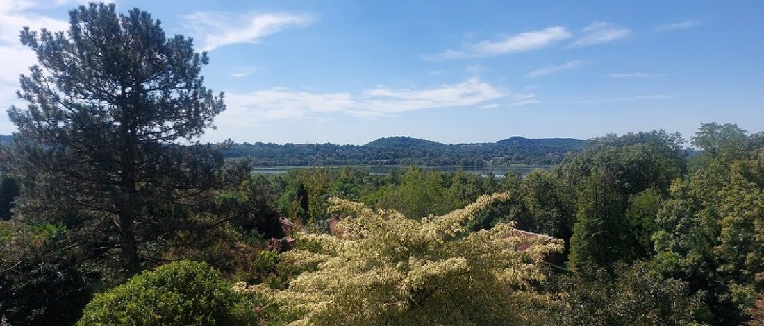 Villa in Center, Varese, Lombardy 2 - 15778108