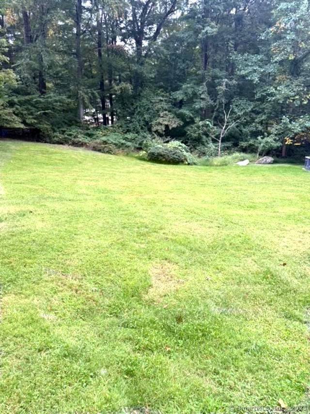Stamford, Connecticut, United States 5 - 17495093