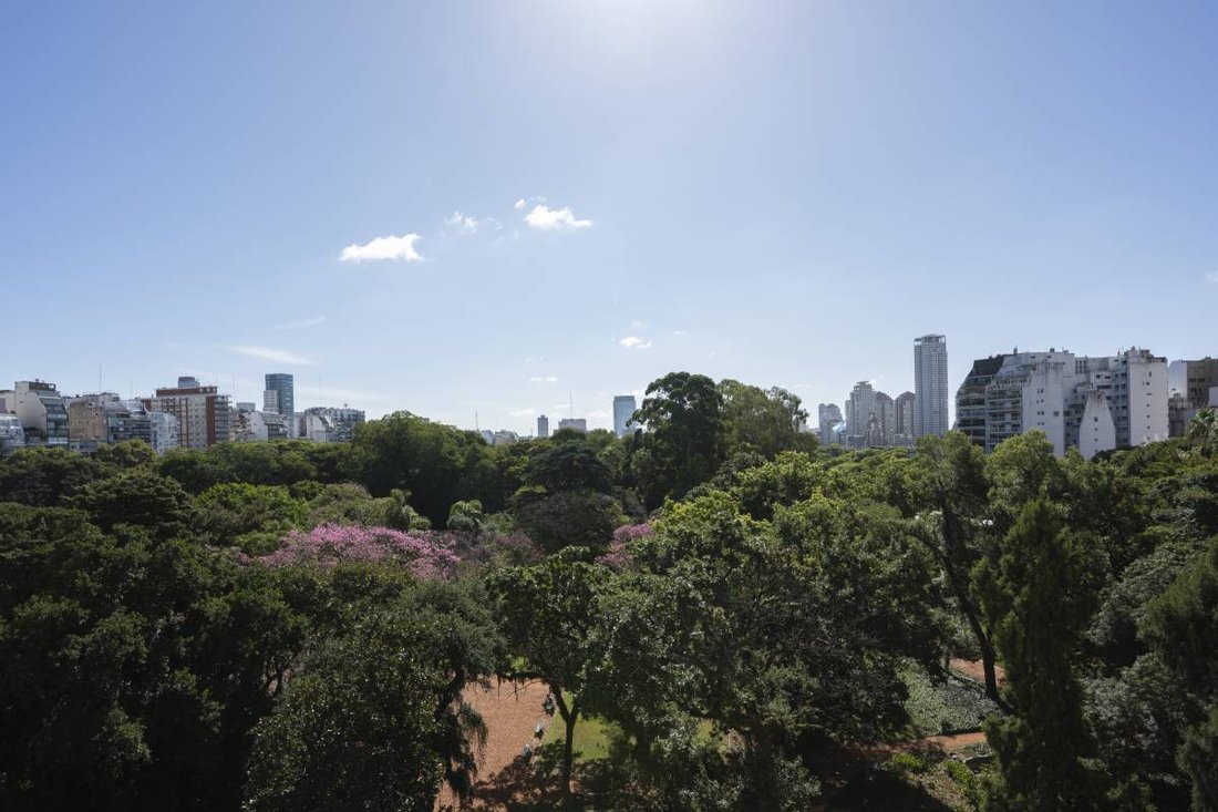 Apartment in Buenos Aires, Buenos Aires, Argentina 2 - 17496012