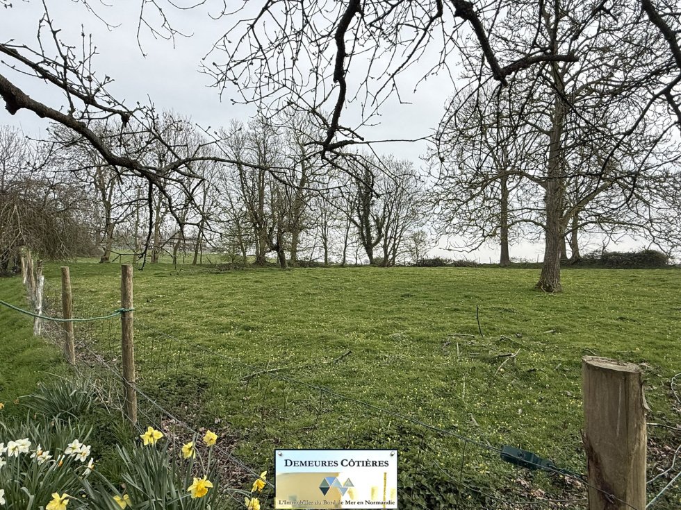 Estate in Bordeaux-Saint-Clair, Normandy, France 5 - 17494132