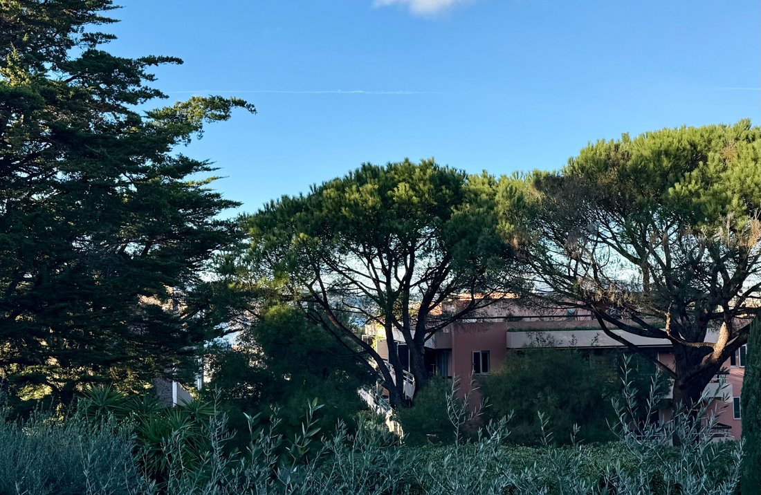Apartment in Zone Est Diffuse, Saint-Tropez, France 3 - 16898588
