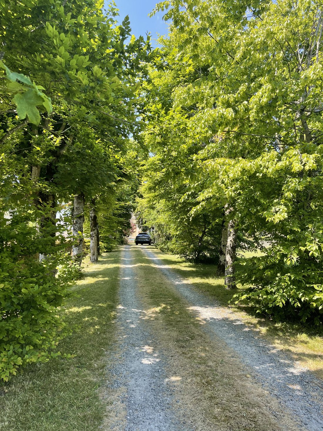 Estate in Neuvy-le-Roi, Centre-Val de Loire, France 3 - 17494203