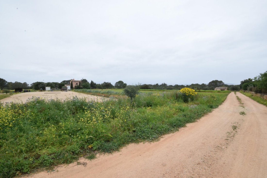 Terreno en Palma, Islas Baleares, España 3 - 17495525