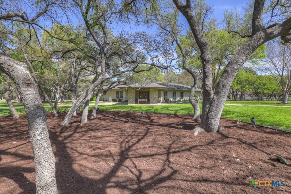 House in New Braunfels, Texas, United States 4 - 17496630