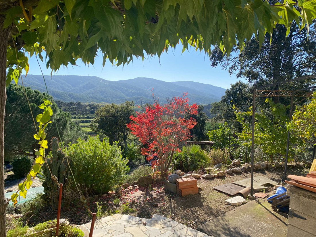 Land in Ouest, Cogolin, France 4 - 16297281
