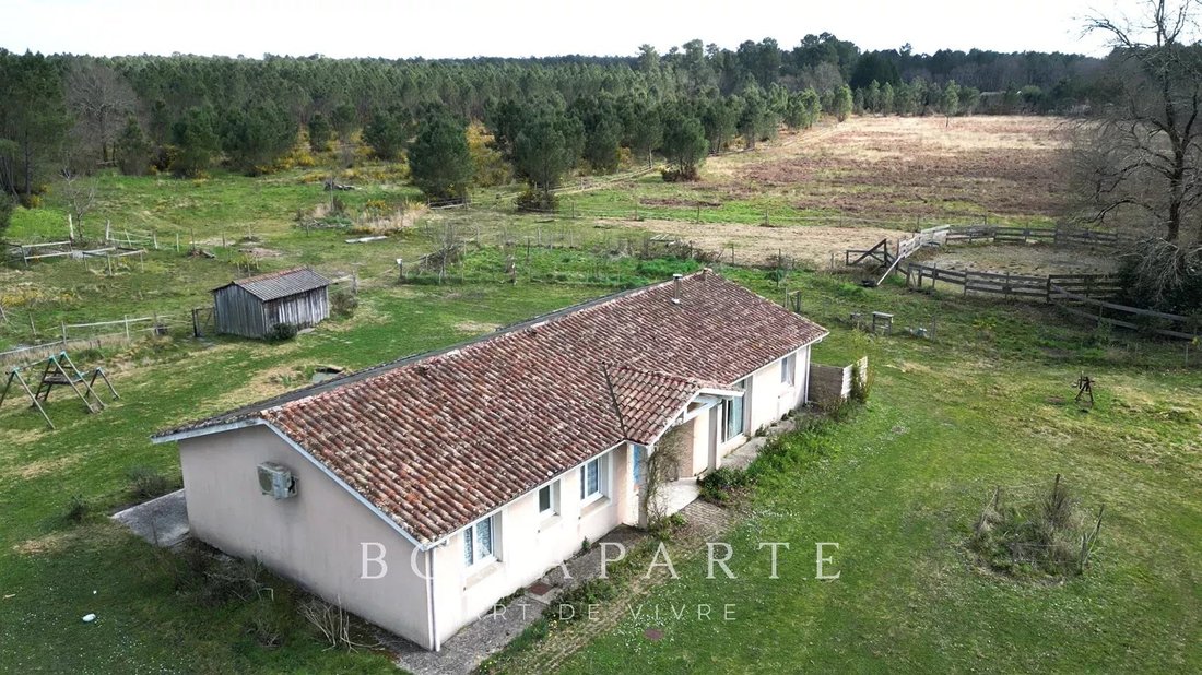 Estate in Le Temple, Nouvelle-Aquitaine, France 5 - 17497763