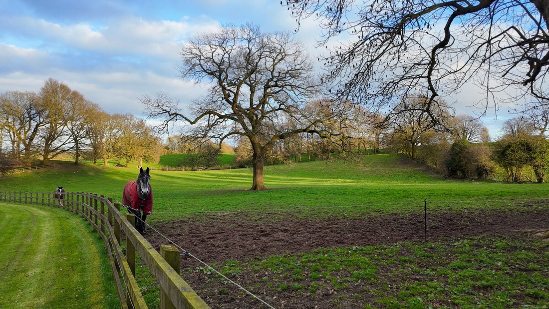 Cheshire East, England 3 - 17499531