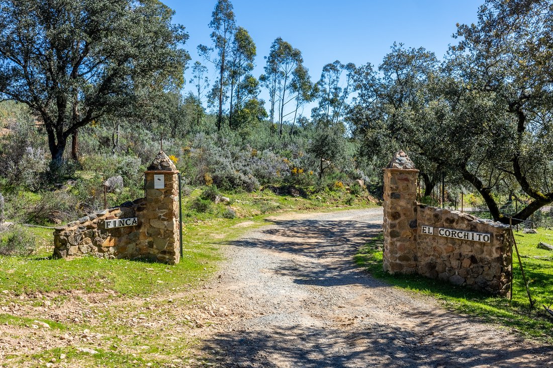 Finca in Aracena, Andalusia, Spain 2 - 15914597