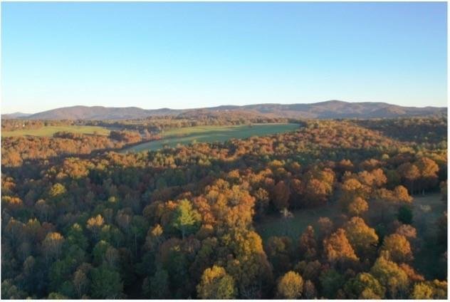 Land in Clarkesville, Georgia, United States 3 - 17499995
