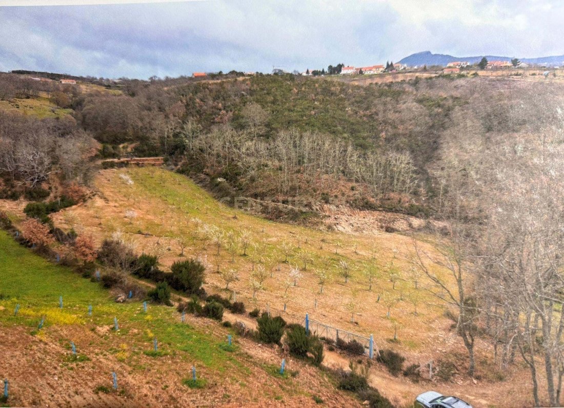 Land in Espadanedo, Edroso, Murcos e Soutelo Mourisco, Braganca District, Portugal 4 - 17497580