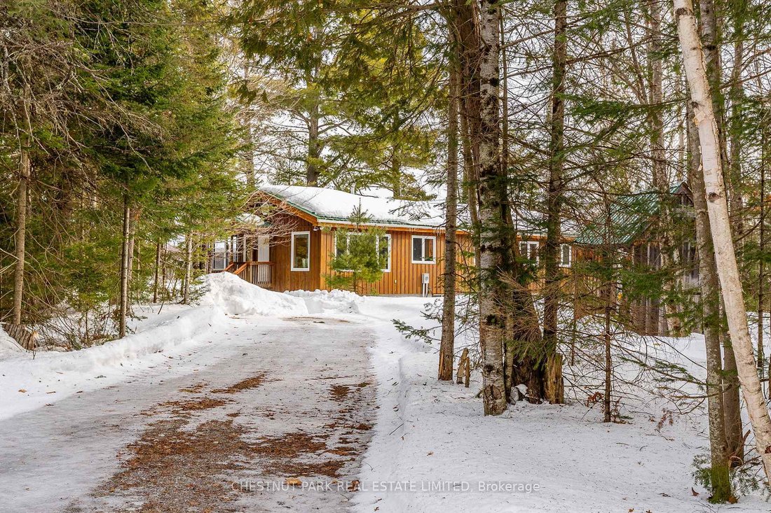 Minden, Ontario, Canada 3 - 17499974