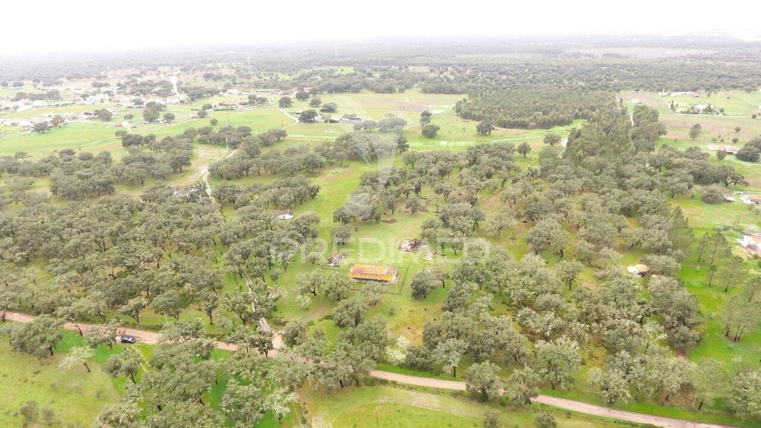 Farm Ranch in Sao Domingos e Vale de Agua, Setubal, Portugal 5 - 17500093