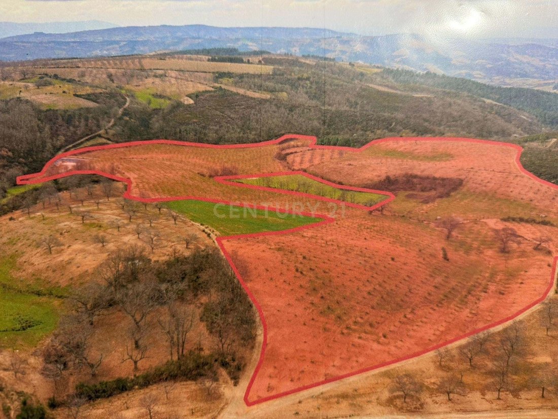 Land in Espadanedo, Edroso, Murcos e Soutelo Mourisco, Braganca District, Portugal 1 - 17497580