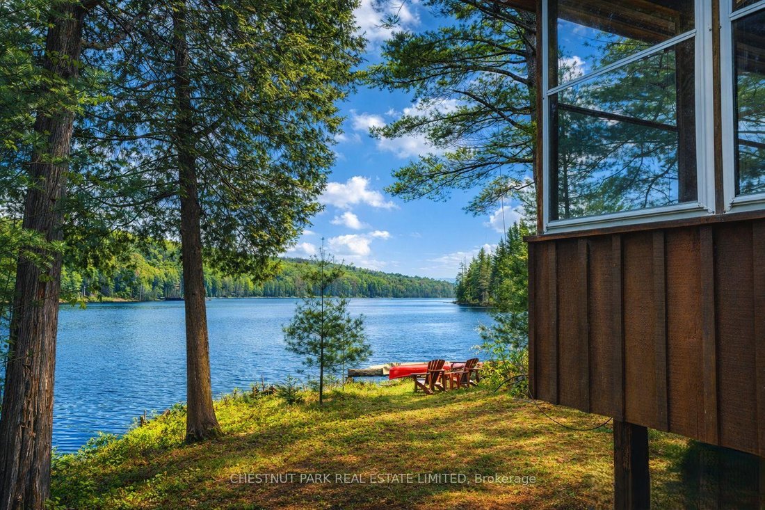 Minden, Ontario, Canada 1 - 17499974