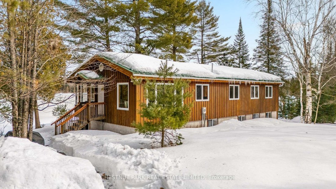 Minden, Ontario, Canada 2 - 17499974