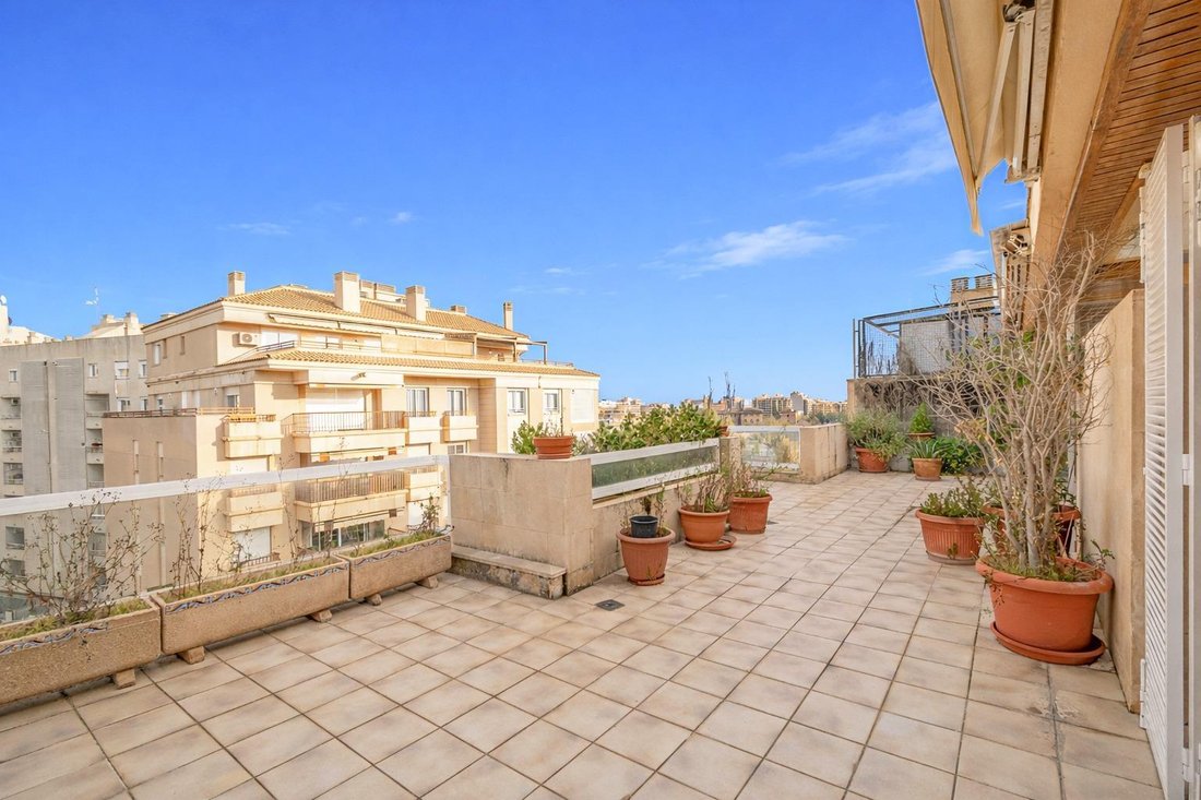 Apartment in Palma, Balearic Islands, Spain 3 - 17499797