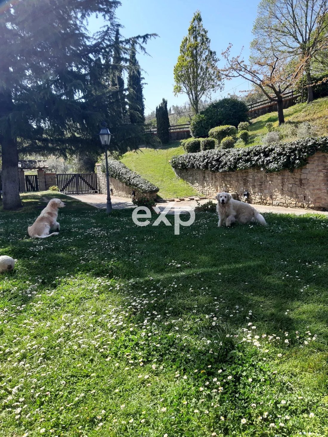 Villa in Center, Arezzo, Tuscany 5 - 17500114