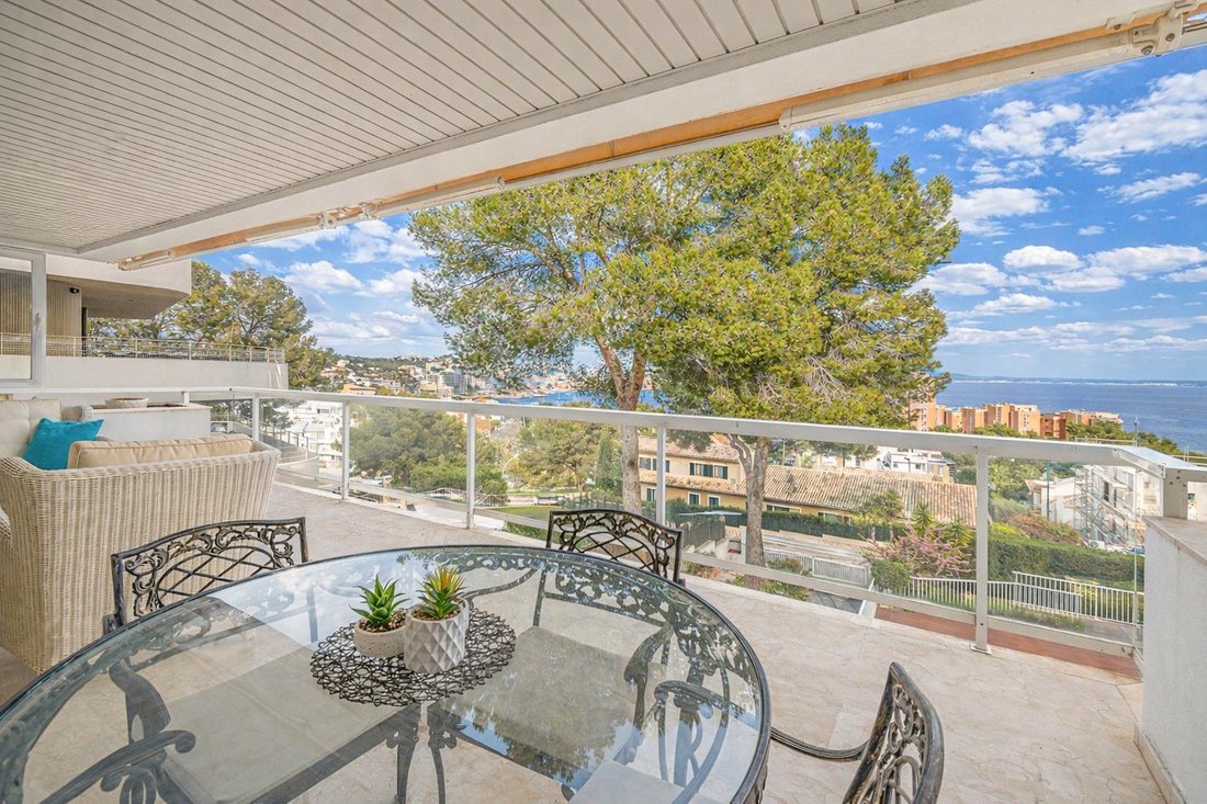 Apartment in Cas Catala, Calvia, Balearic Islands 3 - 17499794