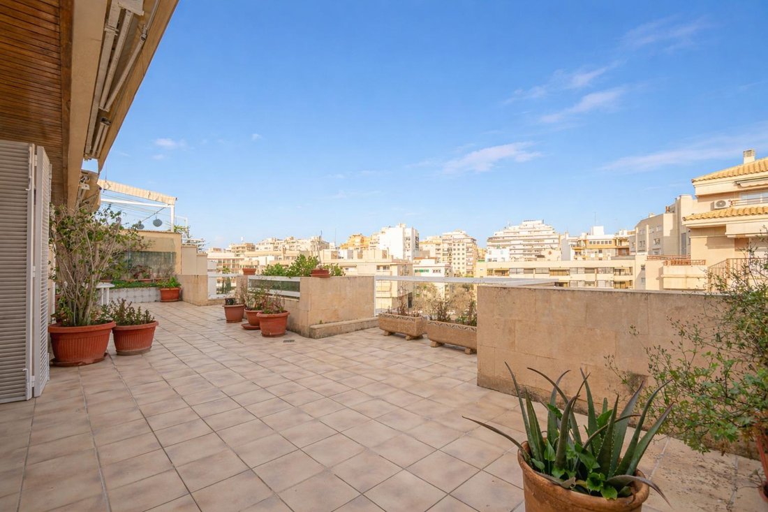 Apartment in Palma, Balearic Islands, Spain 1 - 17499797