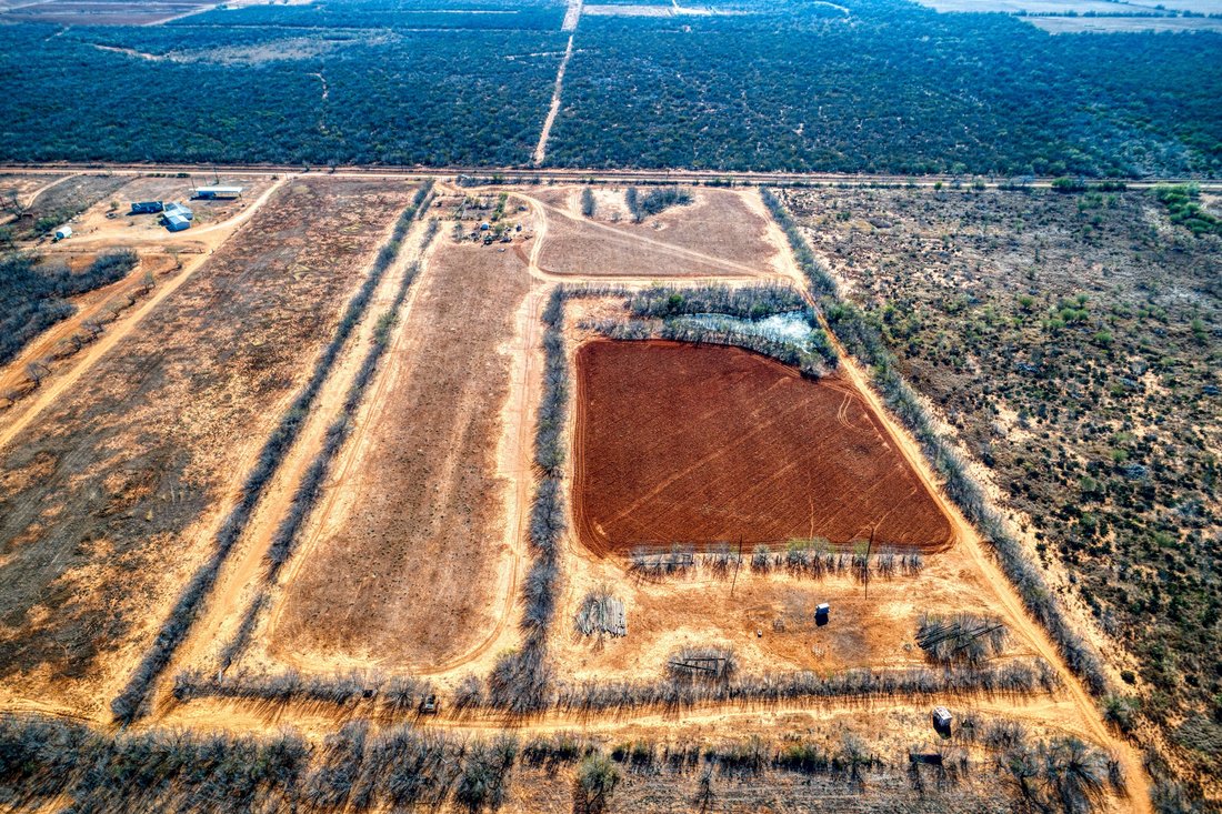 Farm Ranch in Dilley, Texas, United States 5 - 17499910