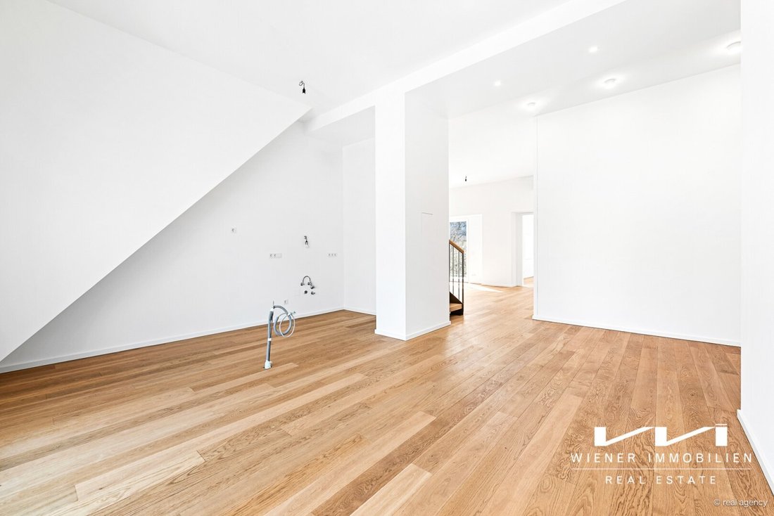 Penthouse in Vienna, Wien, Austria 4 - 16438688