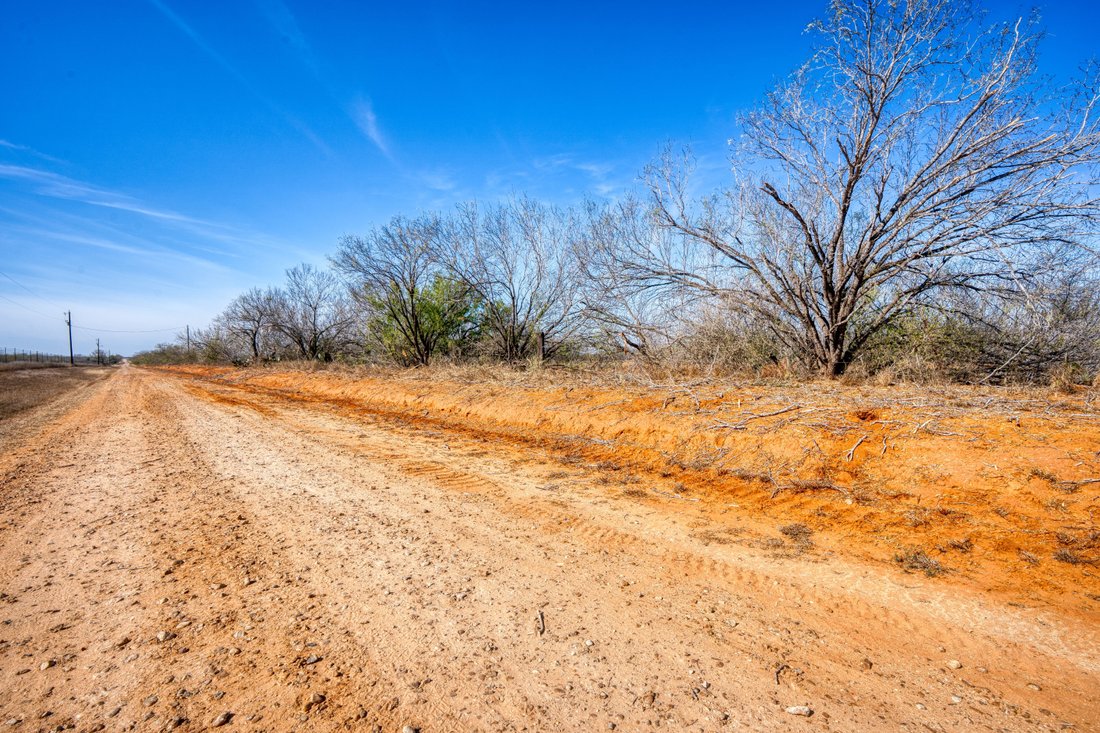 Farm Ranch in Dilley, Texas, United States 2 - 17499910