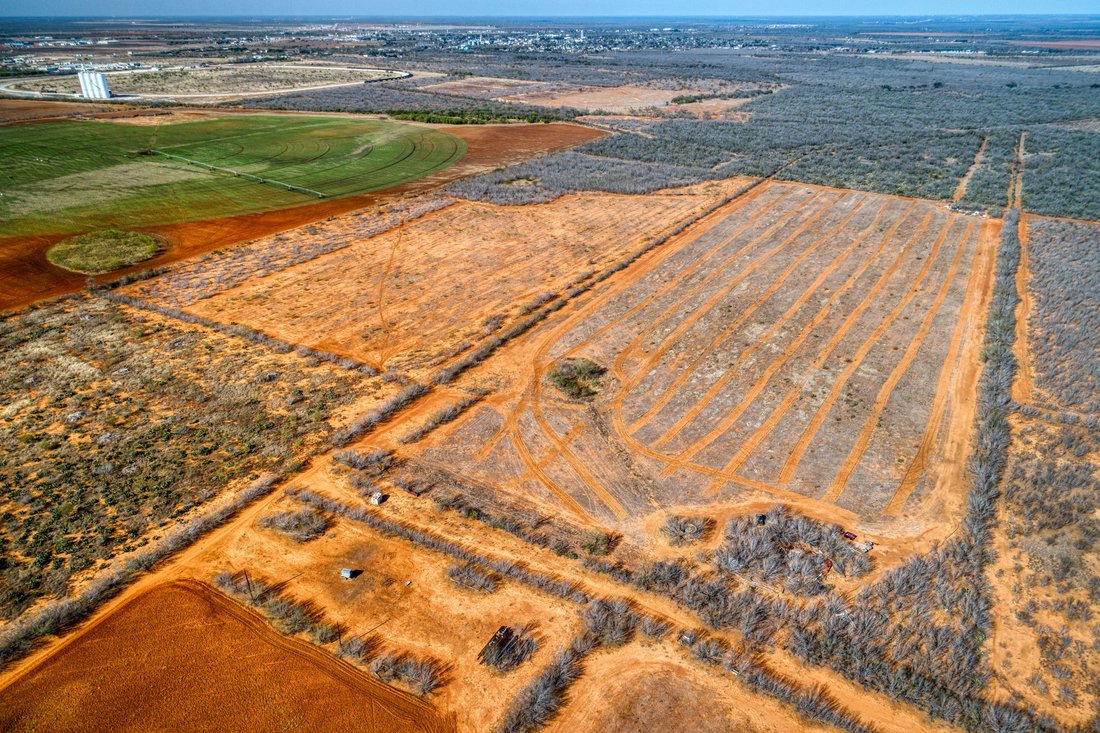 Farm Ranch in Dilley, Texas, United States 4 - 17499910