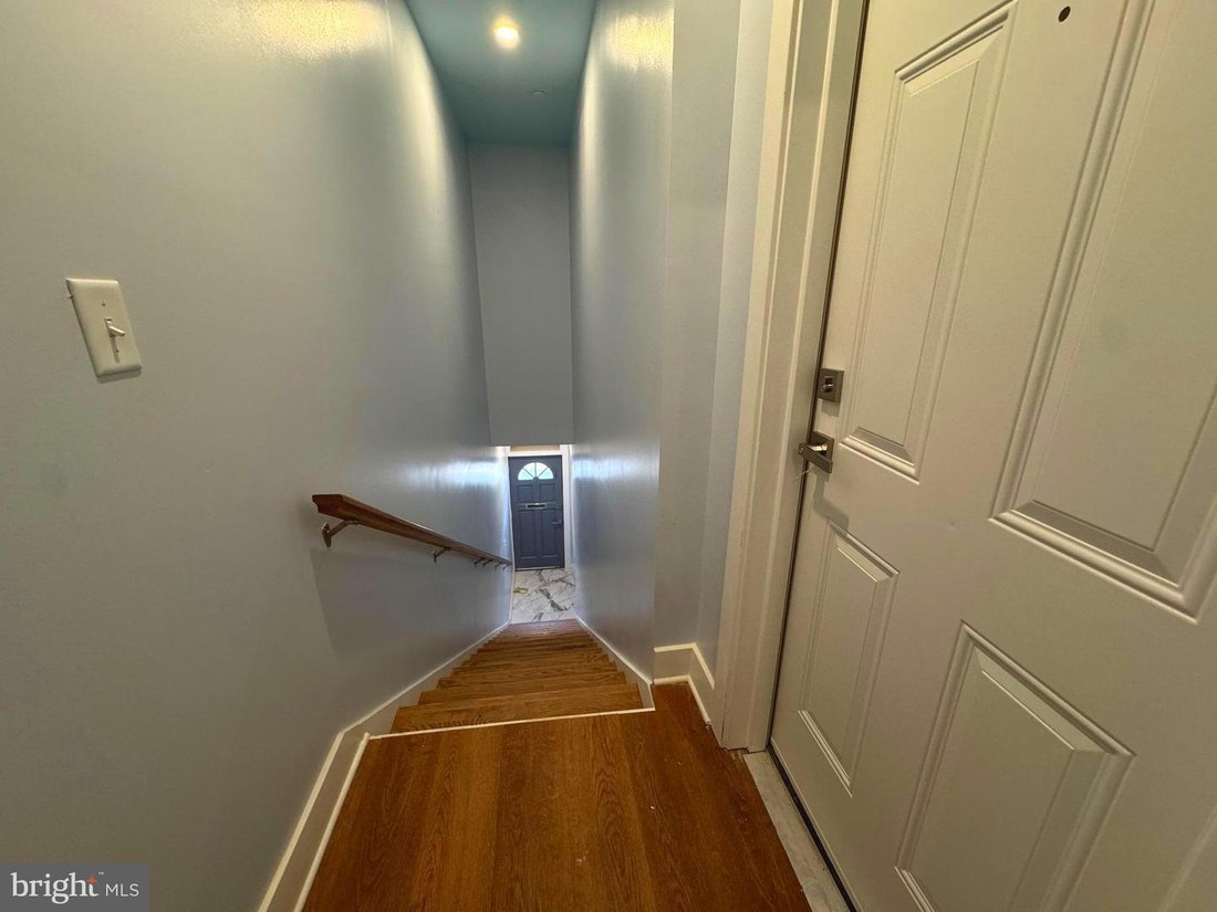 House in Washington, District of Columbia, United States 4 - 17501080