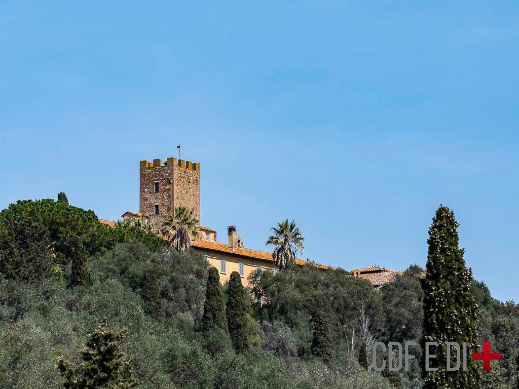 Villa in Manciano, Tuscany, Italy 4 - 17501055