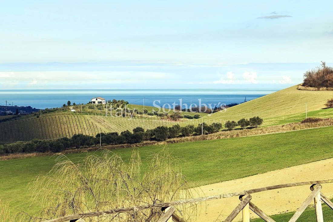 House in Monterubbiano, Marche, Italy 4 - 17500846