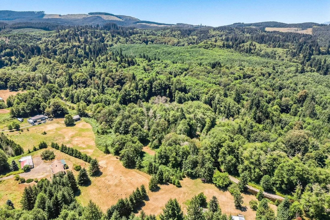 Land in Birkenfeld, Oregon, United States 2 - 17501179