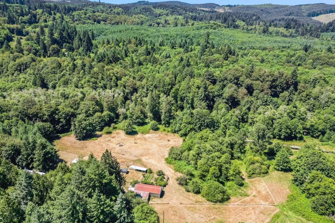 Land in Birkenfeld, Oregon, United States 1 - 17501179