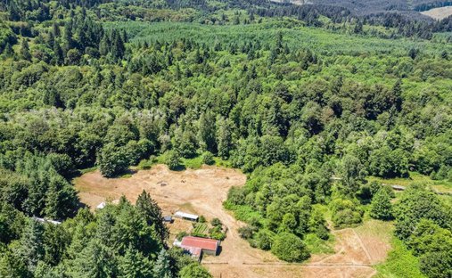 Land in Birkenfeld, Oregon, United States 1